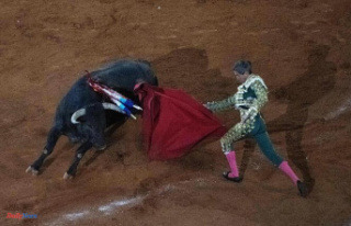 After a one-year ban, bullfighting resumed in Mexico...