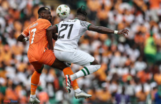 CAN 2024: Ivory Coast, Algeria, Cameroon… Favorites...