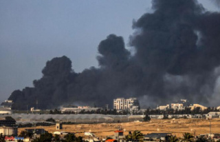 Israel-Hamas war: update on the situation for January...
