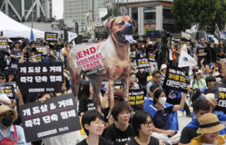 South Korea's parliament bans dog meat trade