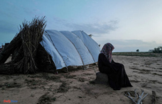 Sudan: between 10,000 and 15,000 people killed since...