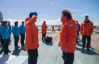 Argentina Milei visits Antarctica and moderates his...