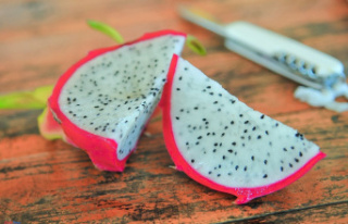 Curiosities Why is pitahaya known as dragon fruit?