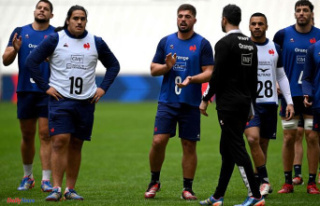 Six Nations Tournament 2024: for France, a shock against...