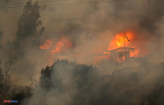 Chile: fires left 112 dead, state of exception declared