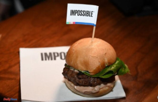 Plant-based “meat”: vegetarian products will no...