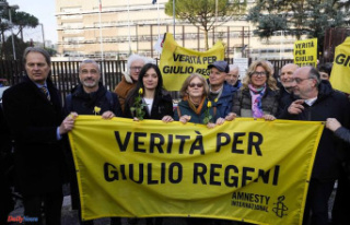 Death of Giulio Regeni: the new trial of four Egyptians...