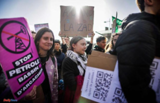 Greta Thunberg demonstrates in Bordeaux against an...