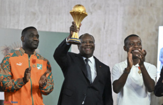 CAN 2024: the Ivorian Elephants, champions of Africa,...