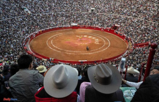 Bullfights reauthorized in Mexico, yet another twist...