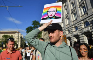Russia adds 'international LGBT movement'...