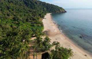 “Koh-Lanta”: a former candidate indicted for sexual...
