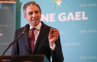 In Ireland, Simon Harris nominated by his party to...