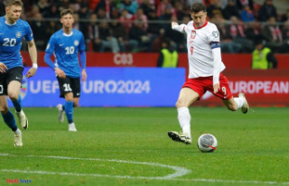 Euro football 2024: the last qualifiers, including...