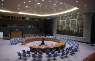 Ceasefire in the Gaza Strip: the UN Security Council...