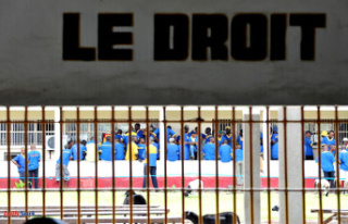 Democratic Republic of Congo lifts moratorium on the...