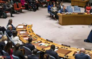 Israel-Hamas war, day 171: UN rapporteur accuses Israel...