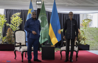 Eastern DRC: Angola evokes a possible meeting between...