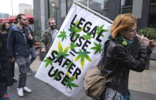 Does the legalization of cannabis lead to an increase...