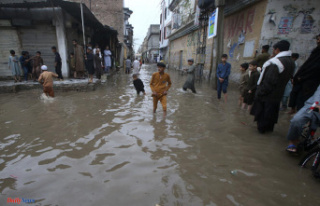 Pakistan: 41 dead in three days due to heavy rains