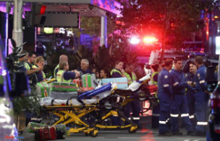 In Sydney, stabbing attack kills six at shopping center;...
