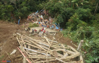 Indonesia: at least 19 dead, 2 missing in landslide