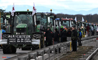 A third of farmers on “less than 350 euros per month”? A dated and contested figure