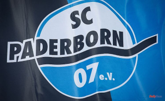 The SC Paderborn phenomenon: The club that the Bundesliga uses
