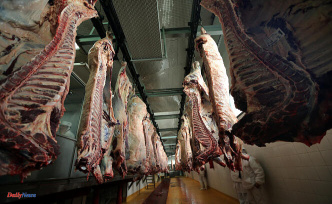 Meat professionals warn of the drop in production, which is forcing the closure of slaughterhouses