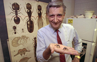 Edward O. Wilson, a biologist, was killed at 92.