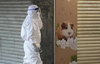 After hamsters receive COVID-19, Hong Kong will kill 2,000 animals
