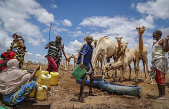 Oxfam says that global action is needed to address East Africa's hunger crisis.