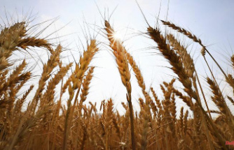 Fear of famine due to war: Russia wants to export 50 million tons of grain