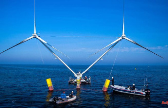 German Presidency of the Council of the Baltic Sea States: Baerbock wants to use synergies in offshore wind energy