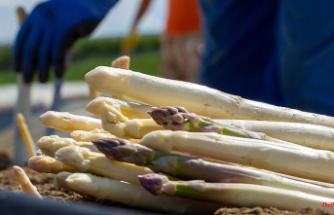 "Dispensable vegetables": Asparagus is becoming a slow seller