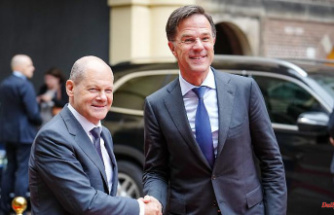 Twelve howitzers 2000 for Ukraine: Scholz and Rutte do not increase arms delivery
