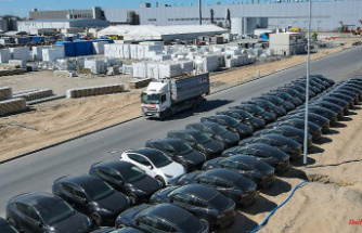 Application for expansion: Tesla wants to build a freight depot in Grünheide