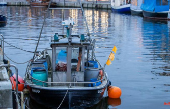 Mecklenburg-Western Pomerania: Ministry: number of coastal fishermen has fallen by ten percent