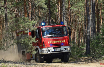 Saxony-Anhalt: fires in forests and meadows keep fire brigades in suspense