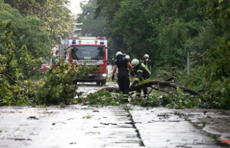 North Rhine-Westphalia: Heavy thunderstorms: trees fell, phones failed