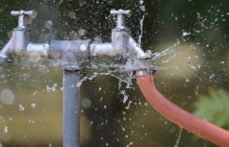 Valuable good: How to save water in the garden