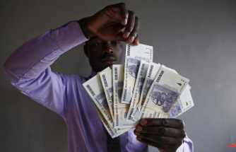 Zimbabwe reintroduces dollar: central bank raises interest rate to 200 percent