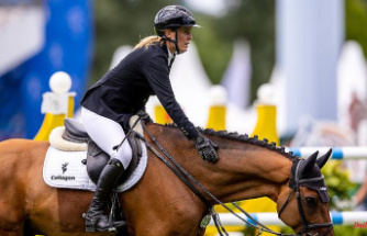Moment of shock at the CHIO: German rider crashes into the obstacle with Messi