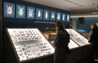 Thuringia: Natural History Museum: Second special exhibition opened