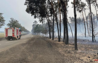 Extinguished fire dangerous: soil in Brandenburg is still 500 degrees hot
