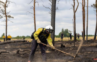 Mecklenburg-Western Pomerania: forest fire in Gorlosen