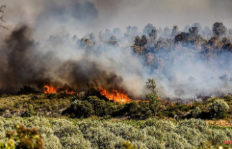Increase clearly visible: Fire season is getting longer due to climate change