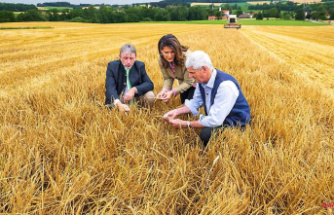 Bavaria: Drought in Franconia reduces harvest prospects