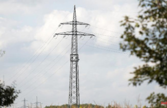 Simple idea with pitfalls: electricity pylons should close cell phone gaps