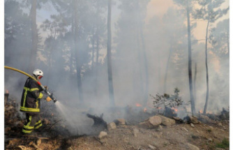 Fire. Ardeche forest fire: 21 firefighters mobilized at Etables
